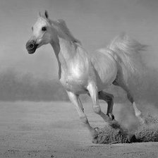 Схема вышивки «лошадь»