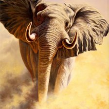 Схема вышивки «Слон»