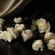 Схема вышивки «Biale roze»