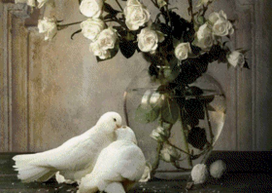 Biale roze - roze, martwa natura cyfrowa, kwiaty - предпросмотр