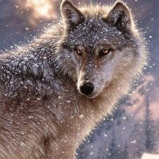 Схема вышивки «№543109»