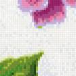 Предпросмотр схемы вышивки «анютины глазки» (№543117)