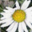 Предпросмотр схемы вышивки «Ромашки на черном» (№543140)