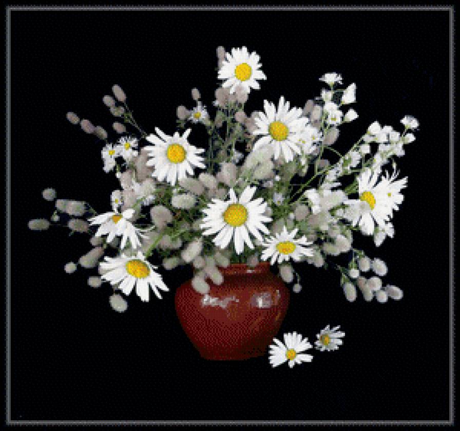 Ромашки на черном - цветы, натюрморт - предпросмотр