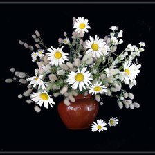 Схема вышивки «Ромашки на черном»