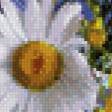 Предпросмотр схемы вышивки «Ромашки на синем» (№543141)