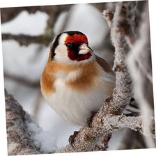 Схема вышивки «зима»