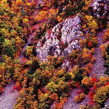 Схема вышивки «Живописная природа»