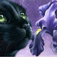 Схема вышивки «домашние любимцы»