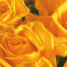 Схема вышивки «№543283»