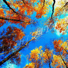 Схема вышивки «Небо»