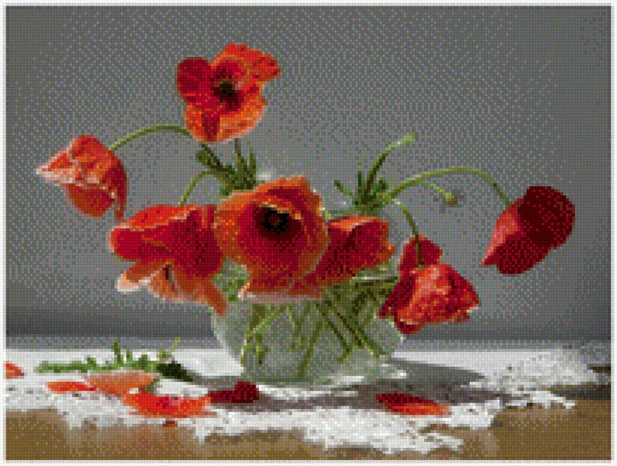 мак - ваза, мак, маки - предпросмотр