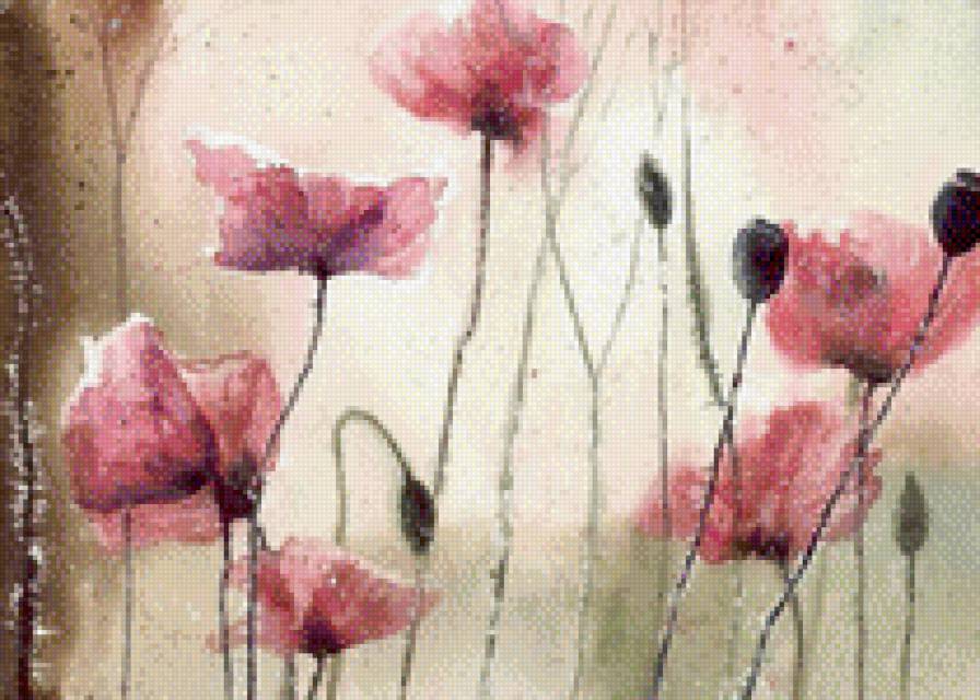 мак - маки, мак - предпросмотр