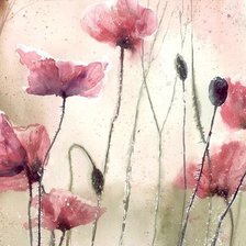 Схема вышивки «мак»