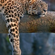 Схема вышивки «отдых»