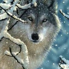 Схема вышивки «№543750»