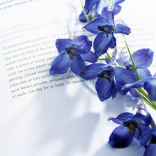 Схема вышивки «№543866»