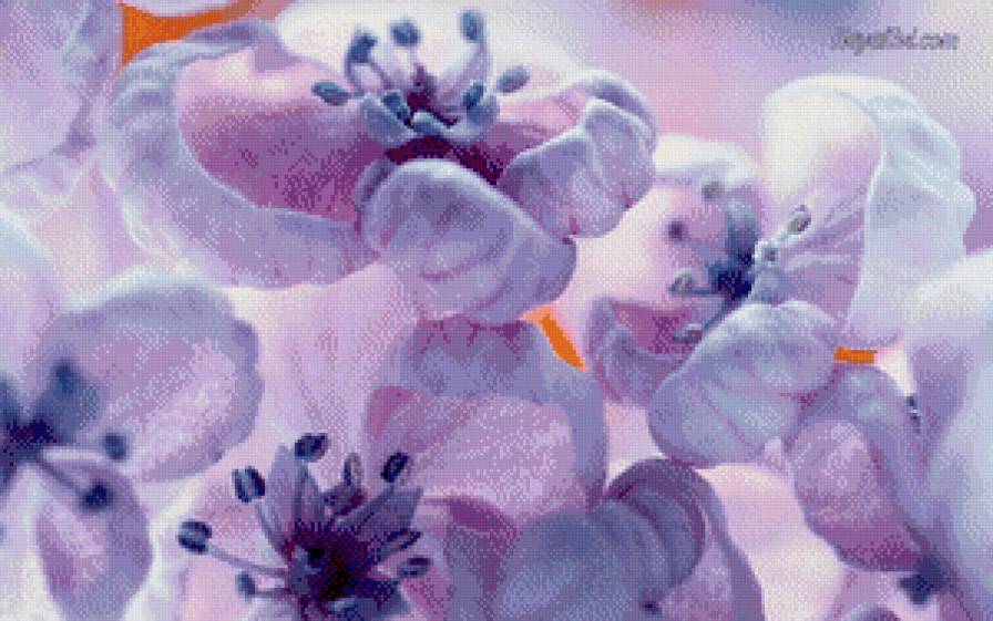 №543868 - цветы - предпросмотр