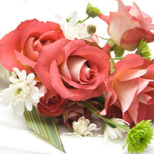 Схема вышивки «№543870»