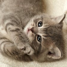 Схема вышивки «№543871»