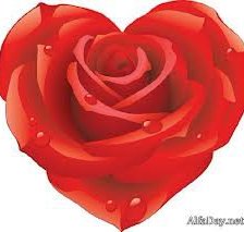 Схема вышивки «сердце розы»