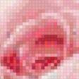 Предпросмотр схемы вышивки «розовые розы» (№543910)