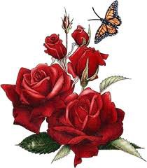 розы - бабочка, букет, красиво, розы, цветы - оригинал