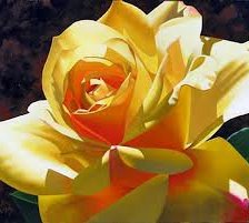 Схема вышивки «солнечная роза»