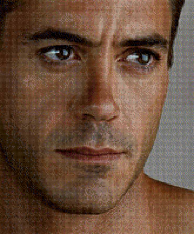 роберт дауни мл - знаменитость - предпросмотр