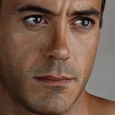 роберт дауни мл