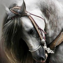 Схема вышивки «№544087»