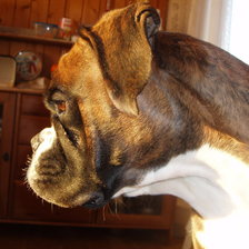 Схема вышивки «№544201»