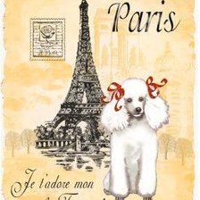 Схема вышивки «ПАРИЖ»