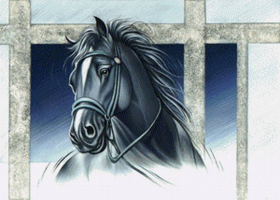 Конь - конь - предпросмотр