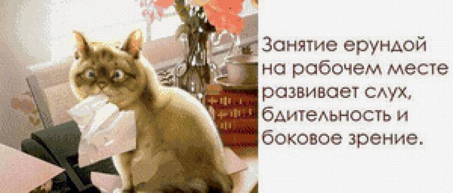 Шутка - бумага, кот, смех - предпросмотр