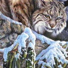 Схема вышивки «№544380»