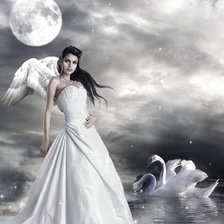 Схема вышивки «лебединое озеро»