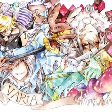 Схема вышивки «Varia»