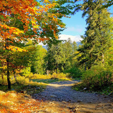 Очей очарование . Осень