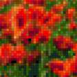 Предпросмотр схемы вышивки «Маковое поле» (№544486)