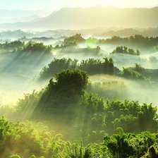 Схема вышивки «Пейзаж»