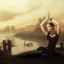 Схема вышивки «лебединое озеро»