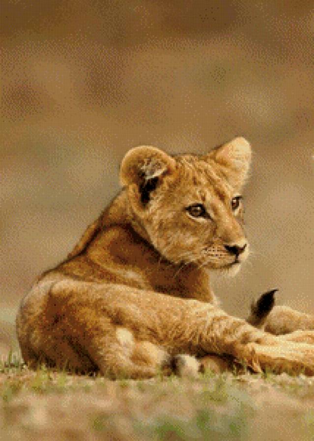 Лвёнок - львенок - предпросмотр