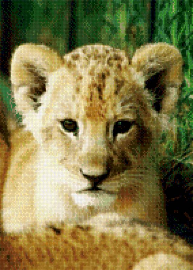 Львёнок 2 - львенок - предпросмотр