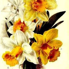 Схема вышивки «№544670»