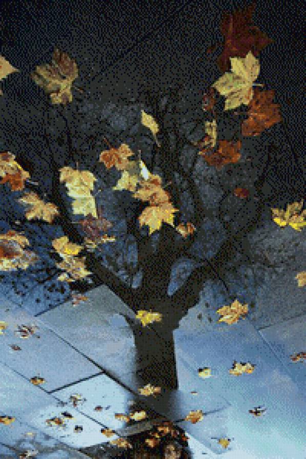 Осеннее дерево - листья, дерево, отражение, осень - предпросмотр