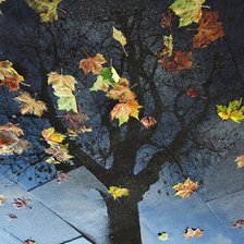 Схема вышивки «Осеннее дерево»