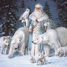 в зимнем лесу