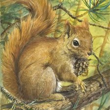 Схема вышивки «белочка»