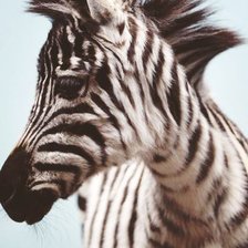 Схема вышивки «ap in the air»